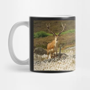 stag in cotton grass peak district Mug